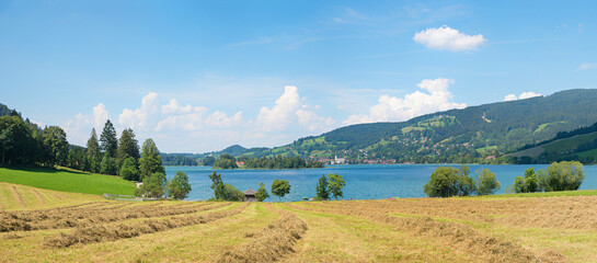 summer field upper bavarian landscape, lake Schliersee tourist destination
