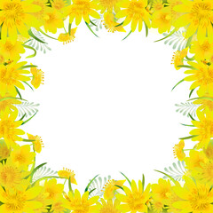 Border with wild yellow flowers. For Print or Textile Design, Greeting Cards, Wedding Invitation, Celebration mood.