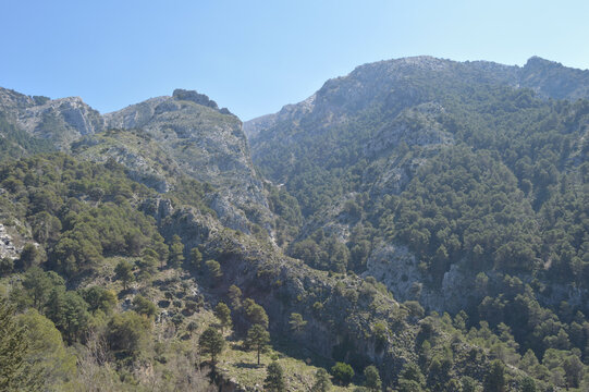Mountains and trees in Alcazar park natural, Alcaucin, Spain