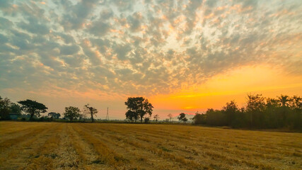 The sun rises in the morning, the law of nature. Shining down on everything in the world, this...