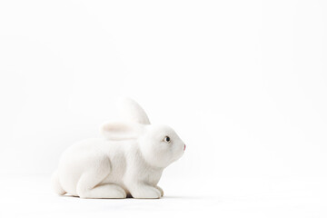 Macro shot of white rabbit on the white background. Easter background