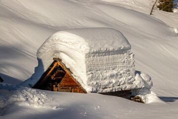 Mountain hut covered in snow, mountain pasture Dedno polje	