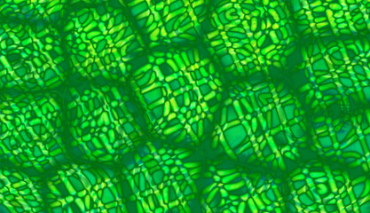 Green cell background with geometric shapes.