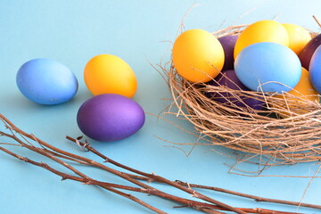 blue yellow purple easter eggs in the bird nest with tree branches on the blue background 