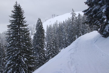 Traumhafter Winter ist zur&uuml;ck im Mangfallgebirge