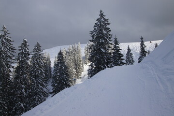 Traumhafter Winter ist zur&uuml;ck im Mangfallgebirge