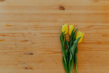 Bright fresh yellow tulips on wooden background. Bunch of three yellow tulips on table with space for text.