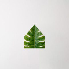 Green philadendron leaf in the shape of a house on a white background. Minimal.