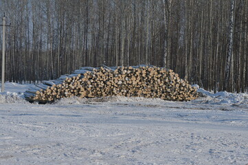Firewood in the winter forest