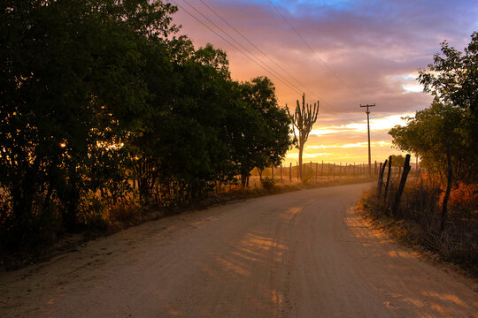 Estrada de ch&atilde;o de terra no sert&atilde;o entardecer por do sol colorido lindo raios de sol fazenda rural no interior passeio 