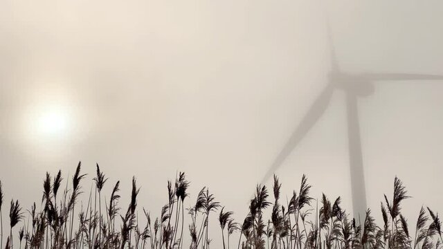 Wind turbine silhouette in morning fog
