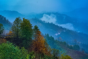 View from the mountain to the autumn forest in cloudy weather