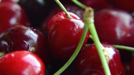 Close up shot of ripe red cherries rotating on white background