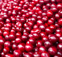 red berries cherry texture background