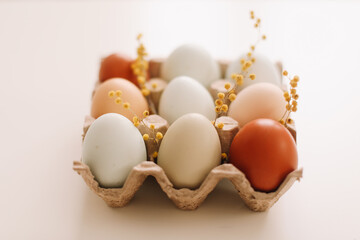 fresh chicken eggs of natural shades and colors in a recycled box on a white background