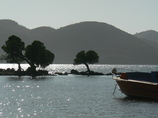 Marine, paysage marin avec proue d'un petit bateau au premier plan à droite, arbres (mangrove, palétuviers au feuillage arrondi) en ombres chinoises au second plan,  et collines rondes en arrière-plan