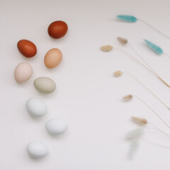 fresh chicken eggs of natural shades and colors on a white background