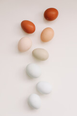 fresh chicken eggs of natural shades and colors on a white background