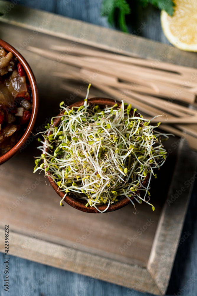 Wall mural sprouted kale seeds, skewers and escalivada