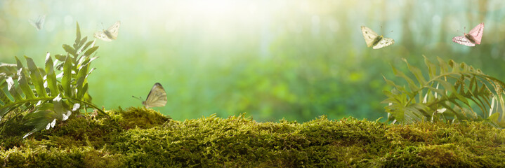 Spring background. Butterflies on forest plants