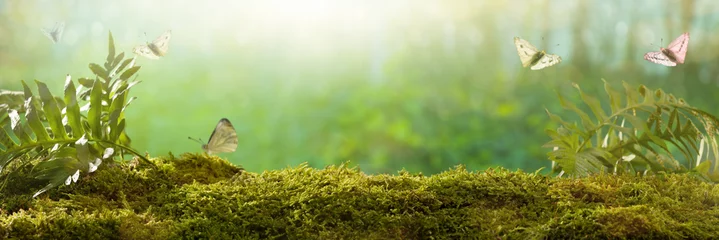 Fototapete Spring background. Butterflies on forest plants © daphnusia