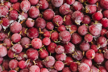 Frozen berries of red gooseberries with hoarfrost, background