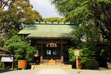 Fototapeta premium Hotoku Ninomiya Jinja (Shrine) at Odawara Castle in Kanagawa prefecture, Japan - 報徳二宮神社 小田原城 神奈川 日本