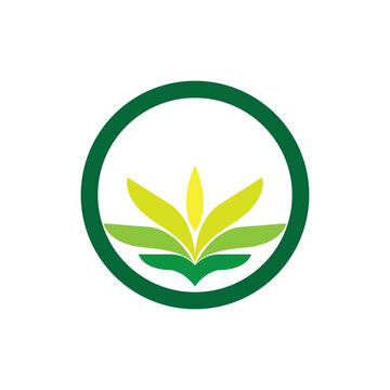 Circle with Leaf logo design vector