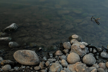 rocks on the beach