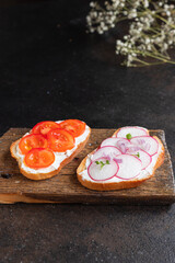 bruschetta vegetable tomato, radish onion cream cheese on the table cooking meal snack top view copy space food background 