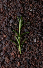 rock himalayan salt on black stone surface