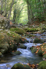Beautiful natural landscape. Cascade stream of a river in a forest in a mountain canyon of Crimea