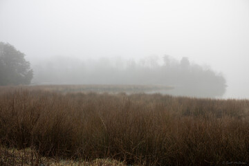 Obraz na płótnie Canvas foggy morning