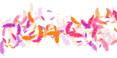 Orange purple pink red feather floating background