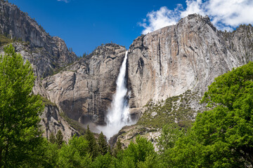 Yosemite Falls Spring Yosemite National Park California  USA