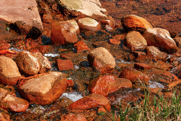 Salt water stream. Forest river with stones.