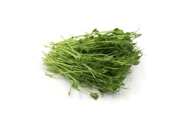 fresh pea sprouts on white background