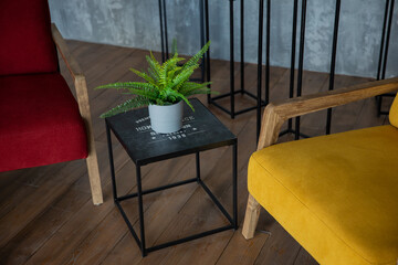 close-up of two armchairs, red and yellow, and a black table with a plant in a vase