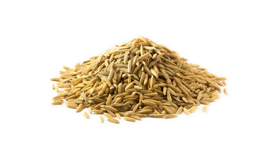 Pile of yellow gold rice. Macro of long paddy rice grains can use for background and texture. Close up of natural rice realistic closeup photo image.