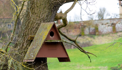 Close up of owl box on tree
