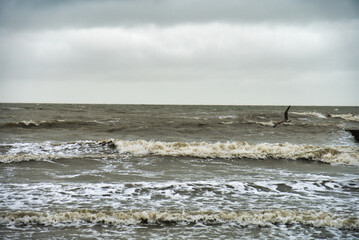 Tag am Meer