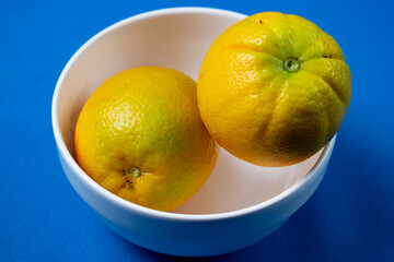 oranges in white bowl with light blue background