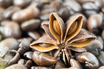 Roasted coffee beans with anise star closeup.