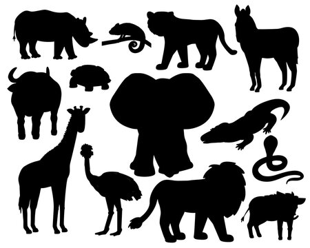 Set of Savannah animals silhouettes on white background. Tiger, lion rhinoceros, common warthog, African buffalo, tortoise, chameleon, zebra, ostrich, elephant, giraffe crocodile, cobra.