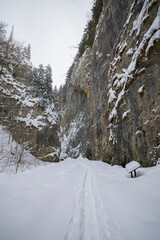 Winter landscape in Zarnesti Gorges (The Precipice of Zarnesti), Romanian Carpathians