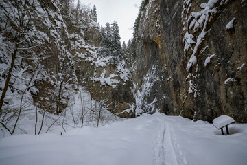 Fototapeta na wymiar Winter landscape in Zarnesti Gorges (The Precipice of Zarnesti), Romanian Carpathians