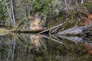 sandstone cliffs on the bank of a forest river with a perfect reflection in the water and green conifers on the bank.