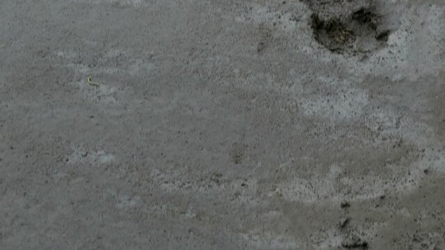 Human footprints in fresh concrete tracking shot