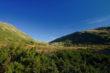 Obraz premium Valley in Norwegian mountain