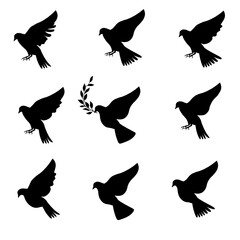 birds. silhouette dove. pigeons in flight